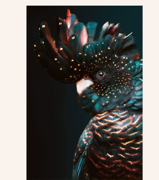 Contemporary animal print art for home interiors